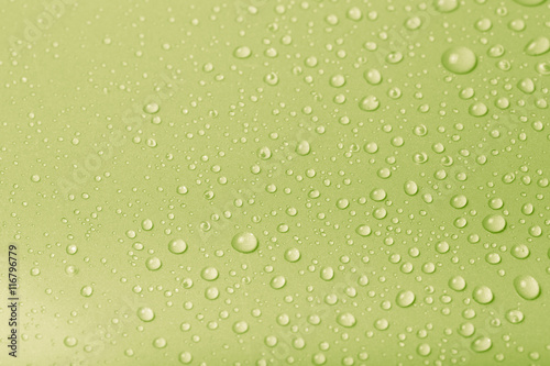 Drops of water on a color background. Green. Shallow depth of fi