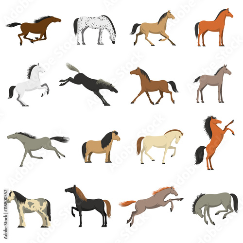 Best Horse Breeds Pictures Icons Set 