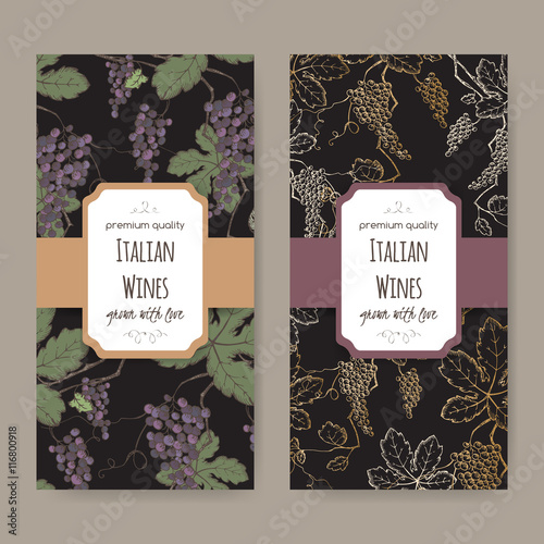 Two wine labels with color grapevine pattern on black background.