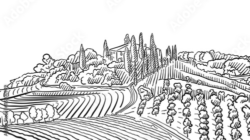  Provence Landscape Apple Plant and Vineyard