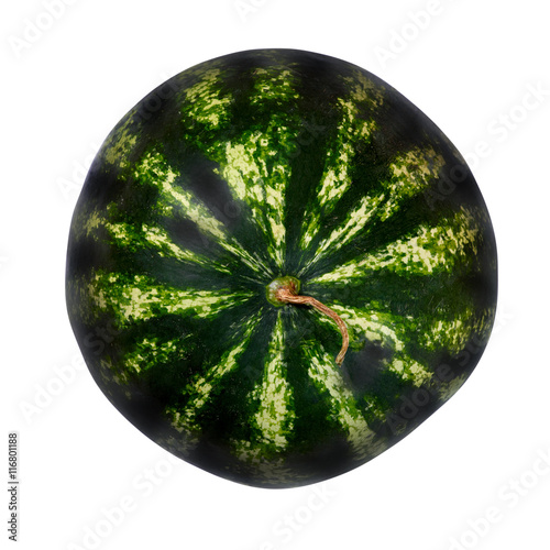 big, round, green, striped, ripe, watermelon on white 