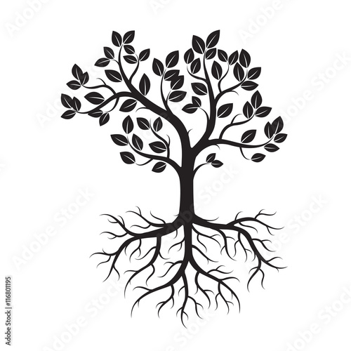 Black Tree and Leafs. Vector Illustration.