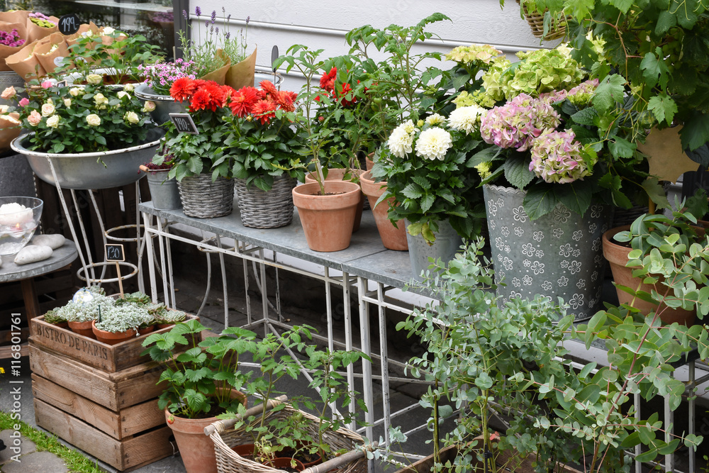 Display of flowers and plants for sale at florist shop.