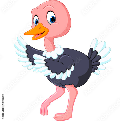 Cute ostrich cartoon