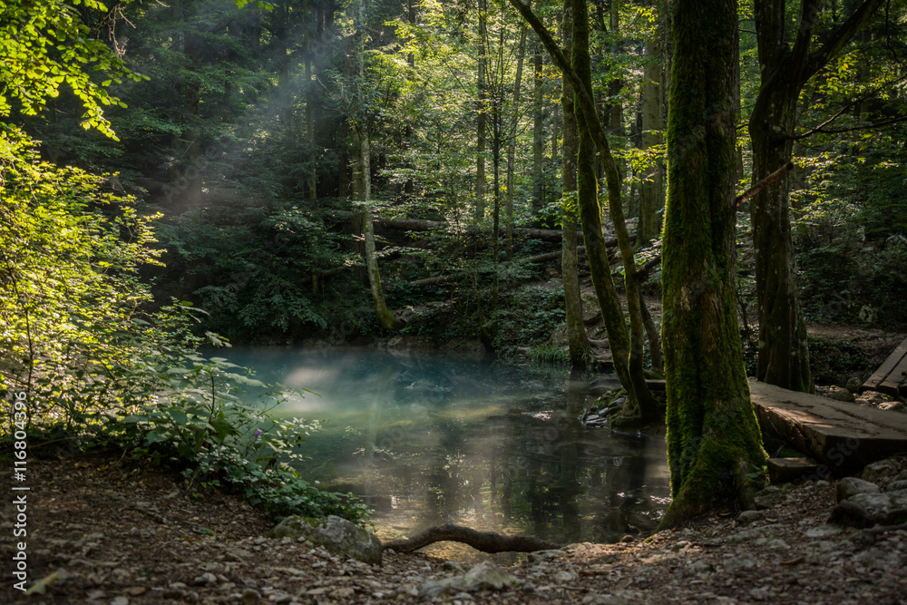 Magical forest, clear blue lake, wooden bridge, rays of light