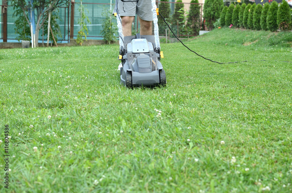 Man is pushing a mower to cut the grass in his garden Man is pushing a mower to cut the grass in his garden