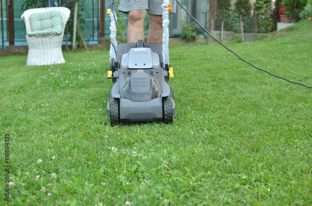 Man is pushing a mower to cut grass in his garden Man is pushing a mower to cut grass in his garden