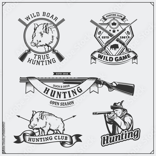 Set of vintage hunting wild boar labels, badges, emblems and design elements.