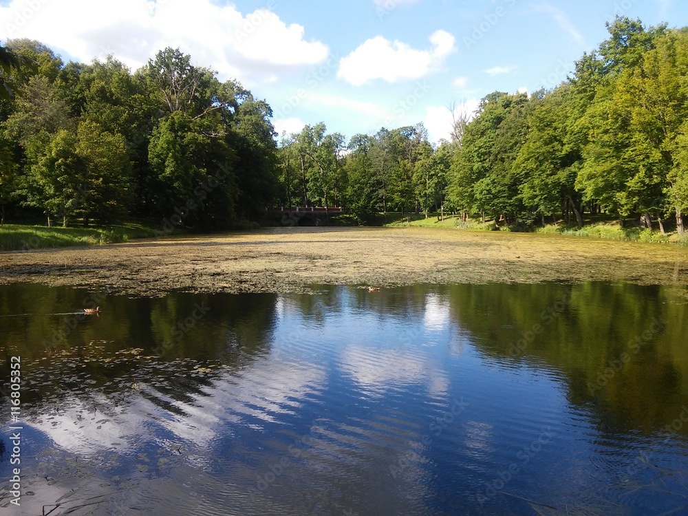 Obraz premium Landscape of the Plunge's park