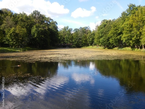 Landscape of the Plunge's park