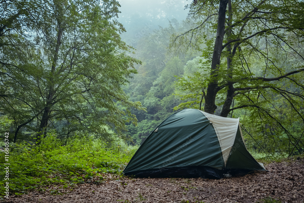 Green tent in the green misty forest