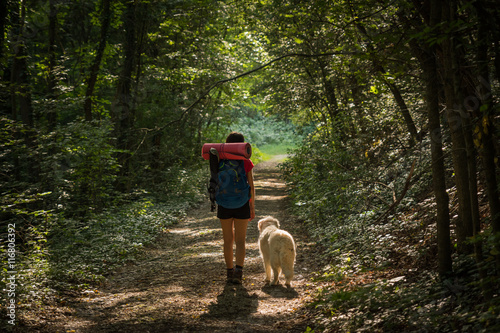 Female hiker walking with her dog under the rays of the morning sun in the mountain forest