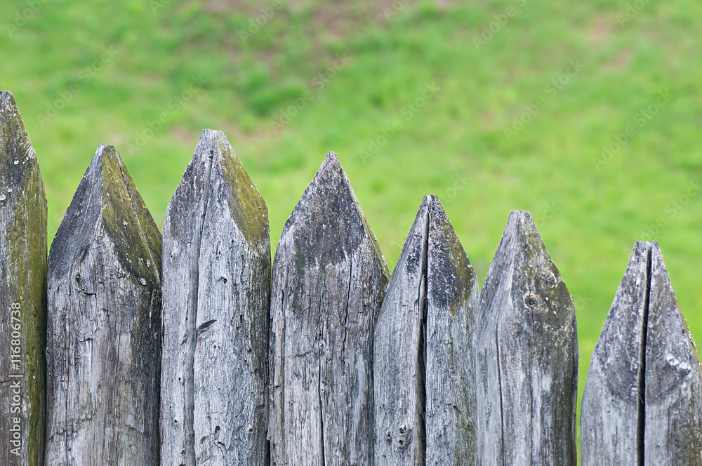 Fence stakes, a fence made of logs, tapered wooden stakes.