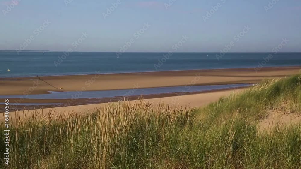 Sea, beach and sandy dunes with waving Marram Grass (Ammophila arenaria ), Burgh-Haamstede, Schouwen-Duiveland, Zeeland, Netherlands Sea, beach and sandy dunes with waving Marram Grass (Ammophila arenaria ), Burgh-Haamstede, Schouwen-Duiveland, Zeeland, Netherlands