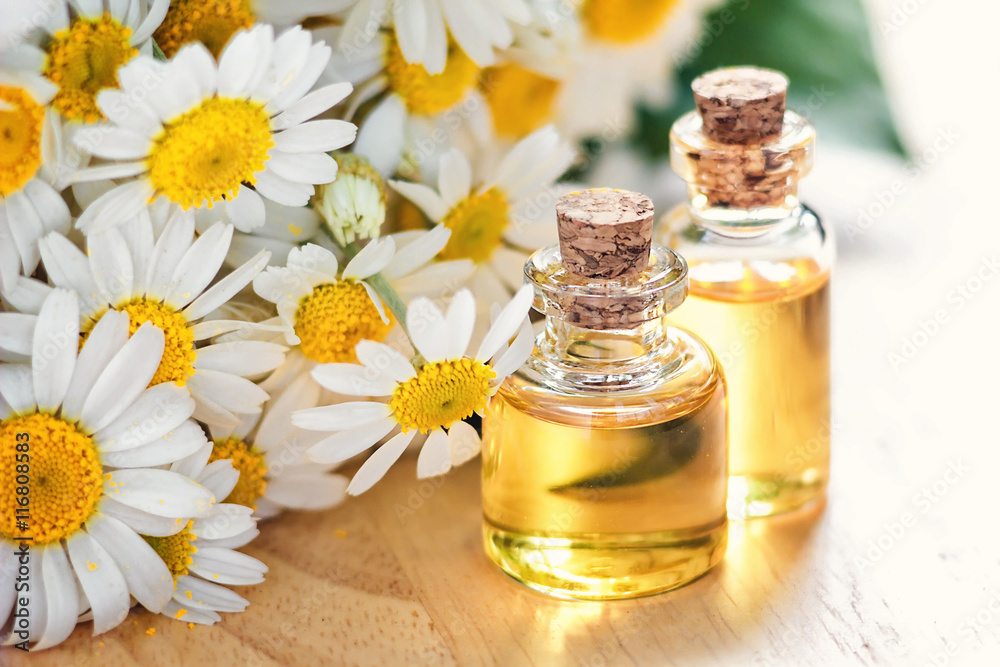 Essential oil in glass bottle with fresh chamomile flowers, beauty treatment. Spa concept. Selective focus. Fragrant oil of chamomile flowers, macro on wooden table horizontal. Essential oil in glass bottle with fresh chamomile flowers, beauty treatment. Spa concept. Selective focus. Fragrant oil of chamomile flowers, macro on wooden table horizontal.