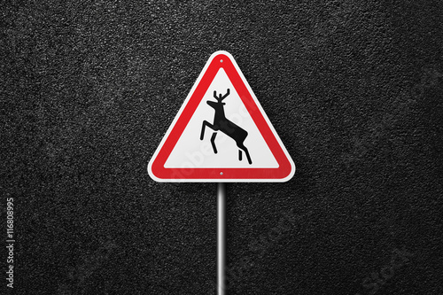 Road sign triangular shape with a picture of the deer on a background of asphalt. The texture of the tarmac, top view. © srzaitsev
