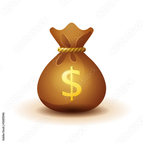 money bag - realistic style