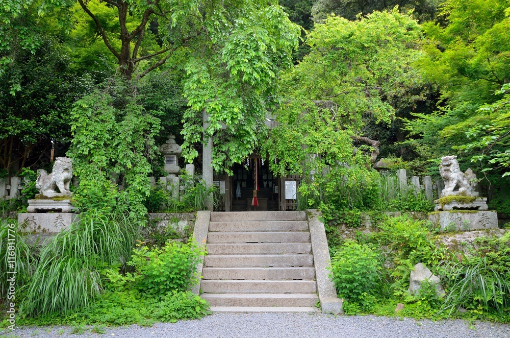 京都　大豊神社