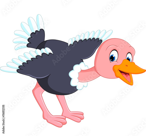 Cute ostrich cartoon