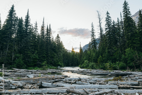 Dam on river in forest, Glacier National Park, Montana photo