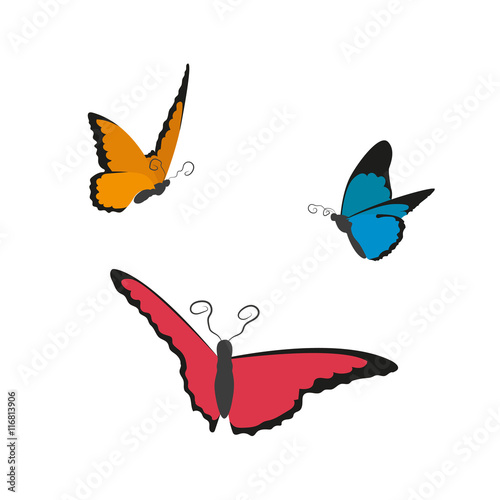 Image of flying butterflies on a white background