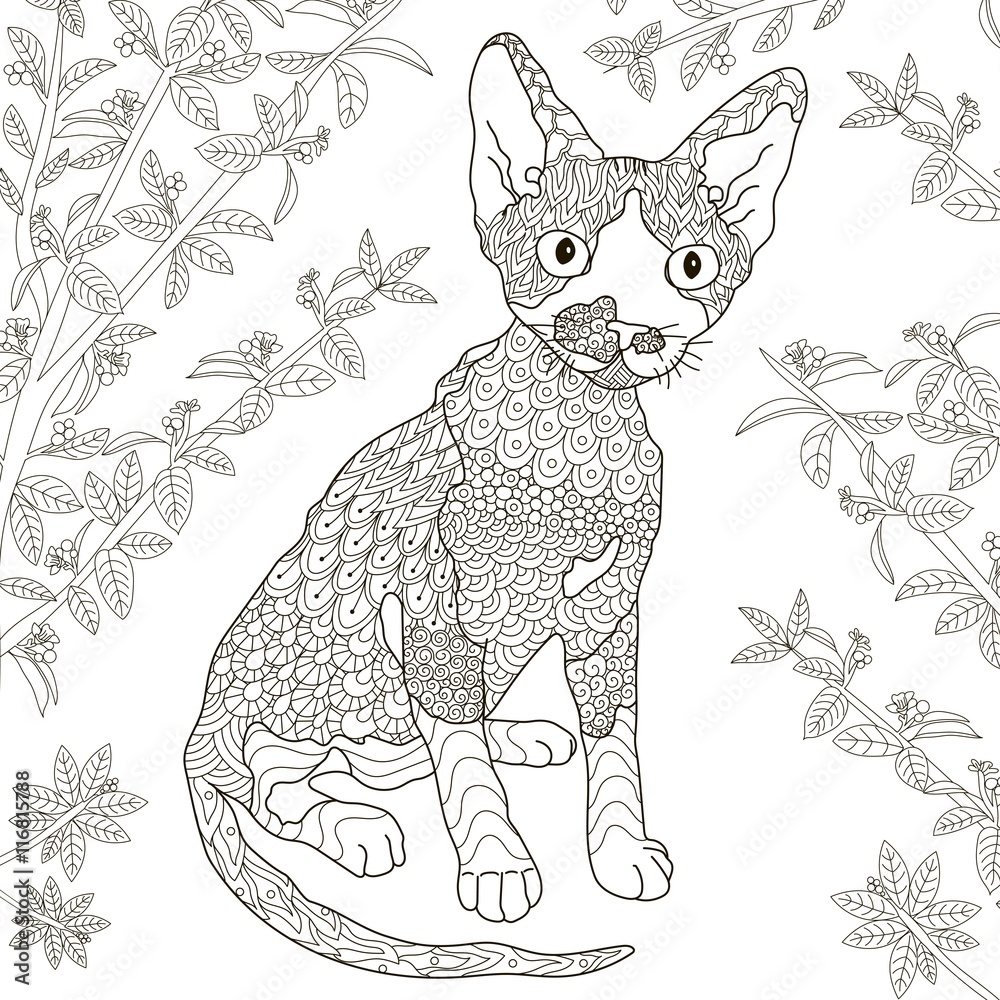 Zentangle stylized devon rex cat for coloring page Stock Vector | Adobe ...