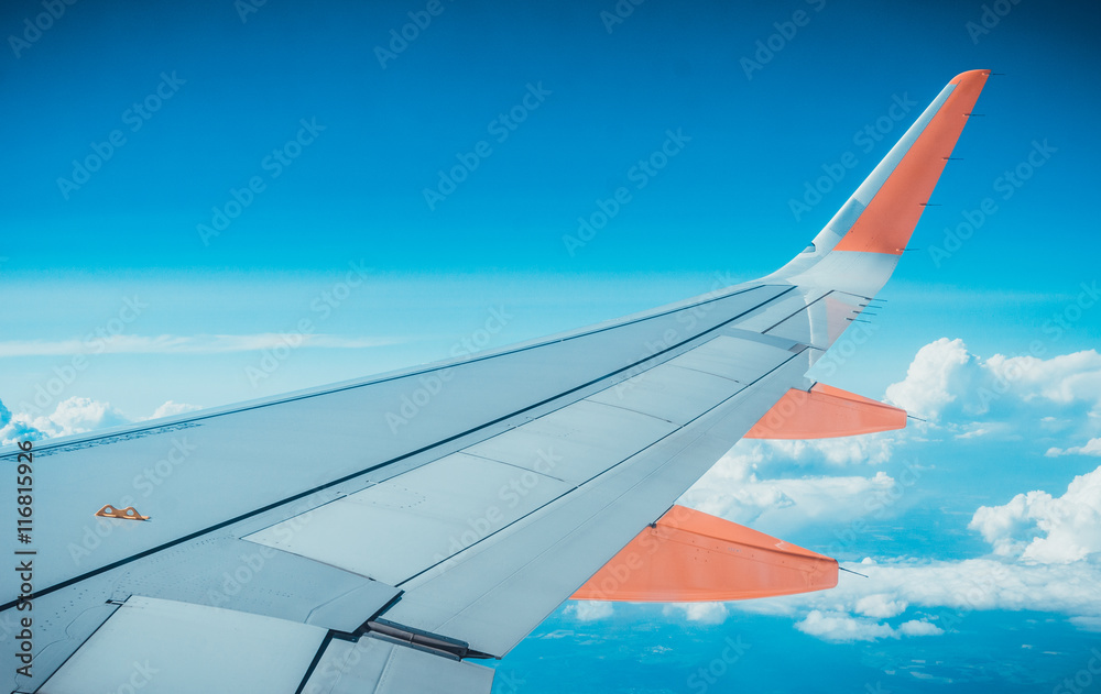 Airplane wing viewed from the cabin