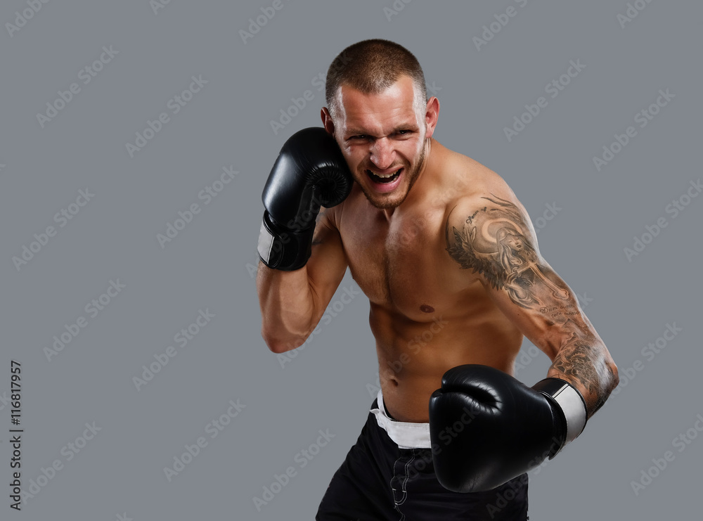 Tattooed fighter isolated on a grey background.