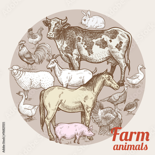 Composition in the circle with farm animals and birds.