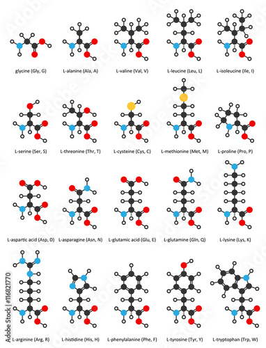 Amino acids, chemical structures.
