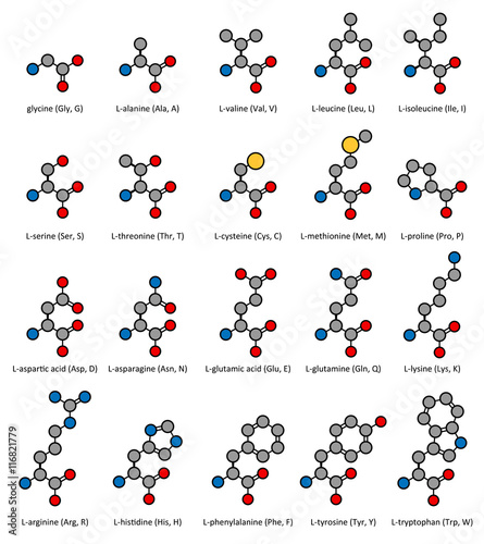 Amino acids, chemical structures.