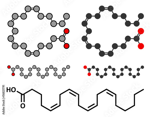 Arachidonic acid molecule. Polyunsaturated omega-6 fatty acid. photo