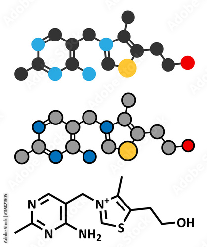 Vitamin B1 (thiamine) molecule. 
