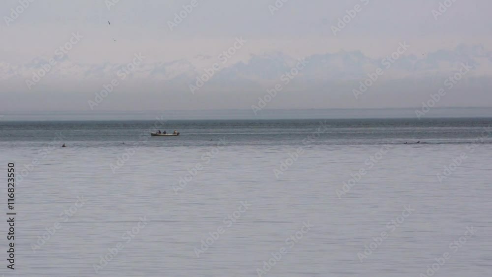 The boat drifts near the diving flock of dolphins and seagulls flying against the backdrop of snow-capped mountains. Black Sea Batumi, Georgia
The boat drifts near the diving flock of dolphins and seagulls flying against the backdrop of snow-capped mountains. Black Sea Batumi, Georgia
