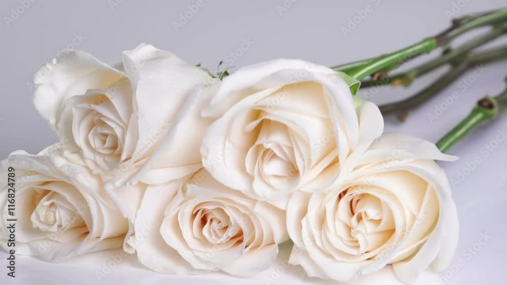 White roses fall and bounce onto a white surface in show motion. White roses fall and bounce onto a white surface in show motion.