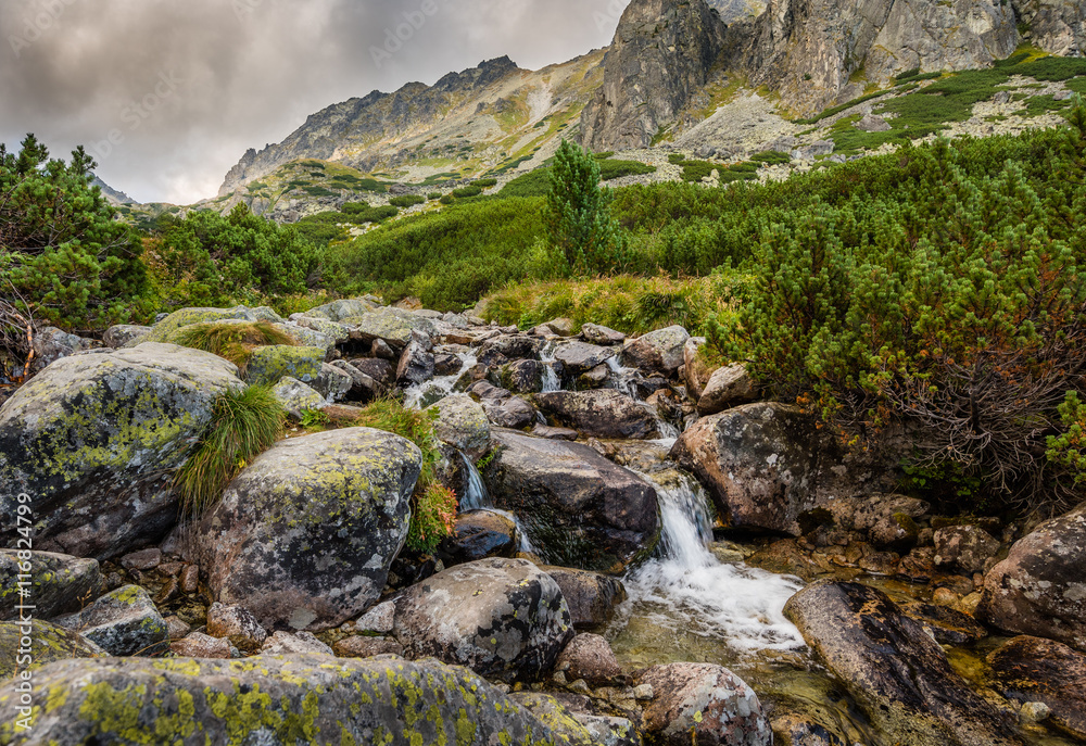 Mountain Landscape with a Creek and Rocks in Foreground on Cloudy Day. Mlynicka Valley, High Tatra, Slovakia. Mountain Landscape with a Creek and Rocks in Foreground on Cloudy Day. Mlynicka Valley, High Tatra, Slovakia.