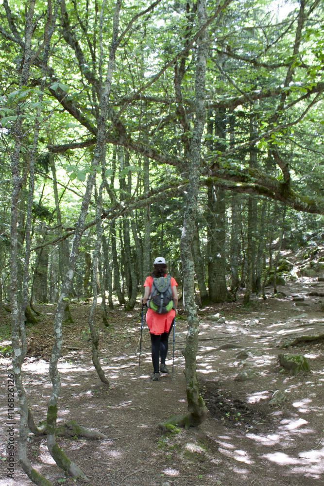 Girl walking in the middle of a forest in summer in a sunny day Girl walking in the middle of a forest in summer in a sunny day