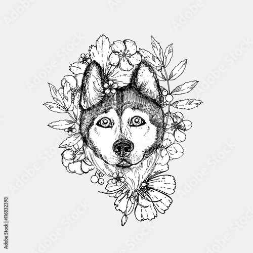 Hand drawn vector illustration dog husky. sketch. Vector eps 8