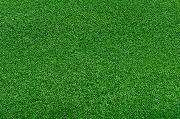 real green grass background