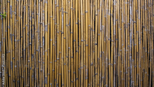 Fototapeta Naklejka Na Ścianę i Meble -  Bamboo fence background and light from top