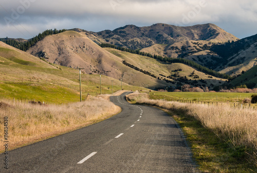 country road meandering across grassy hills in New Zealand