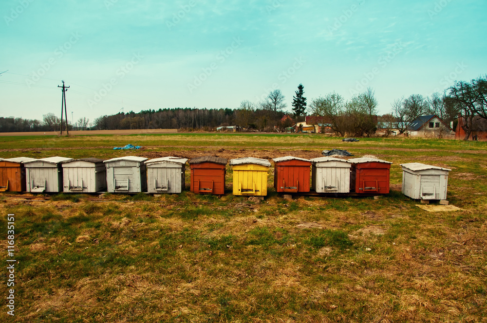 The image of colorful beehives The image of colorful beehives