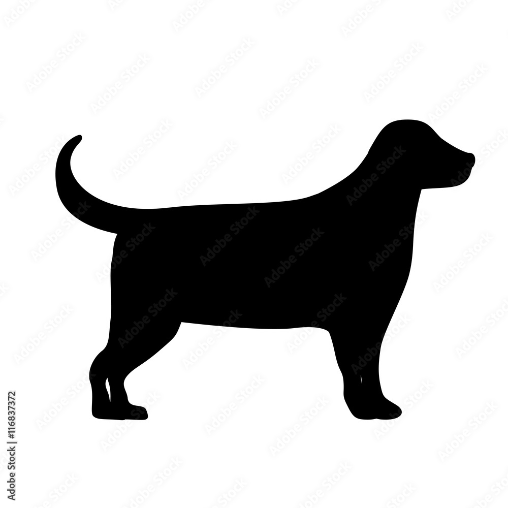 cute dog isolated icon design, vector illustration  graphic