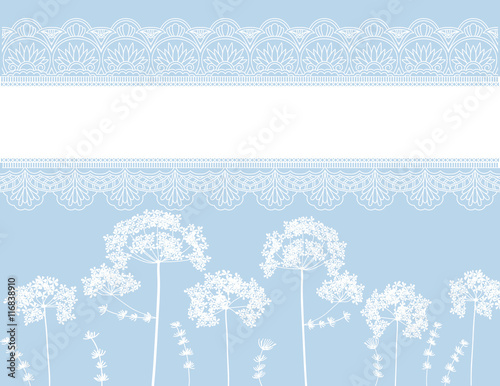 queen anne's flower lace background design 