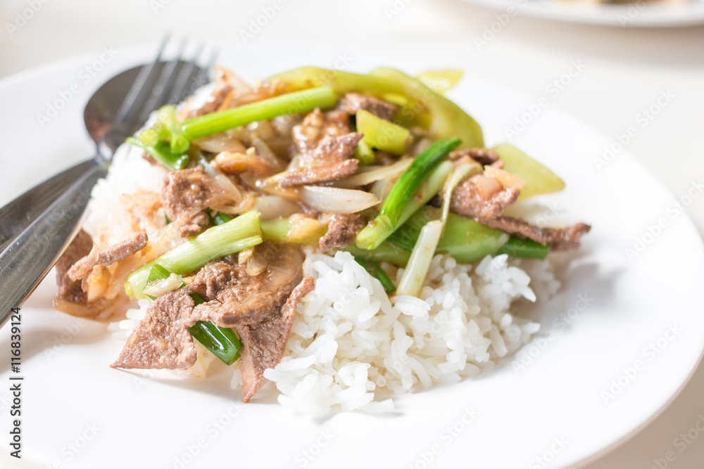 Fried Stir Pork Liver with Sweet Pepper , Thai food Fried Stir Pork Liver with Sweet Pepper , Thai food