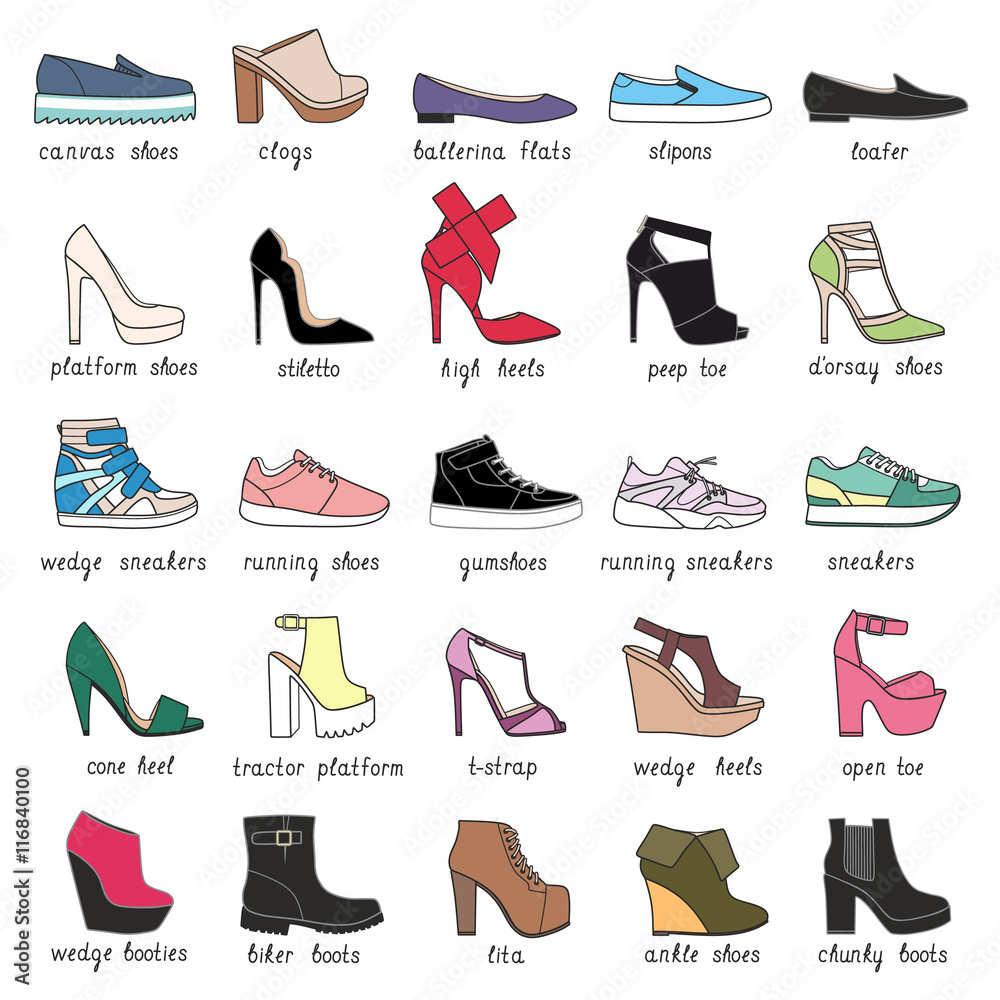 Set with 25 different types of women's shoes. Stock Vector