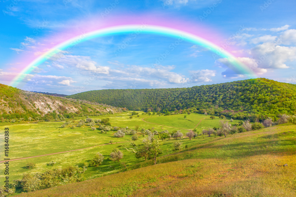 Naklejka premium rainbow over the green hills
