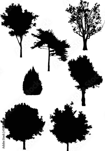 seven isolated different trees black silhouettes