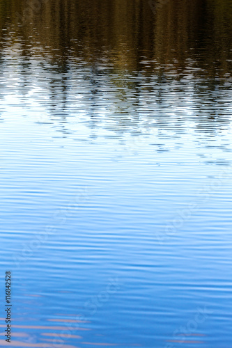 blue water with small waves and reflection of trees