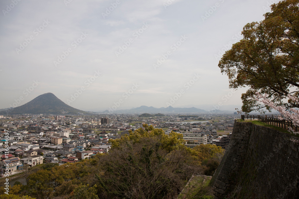 Obraz premium 丸亀城から見た丸亀市の街並